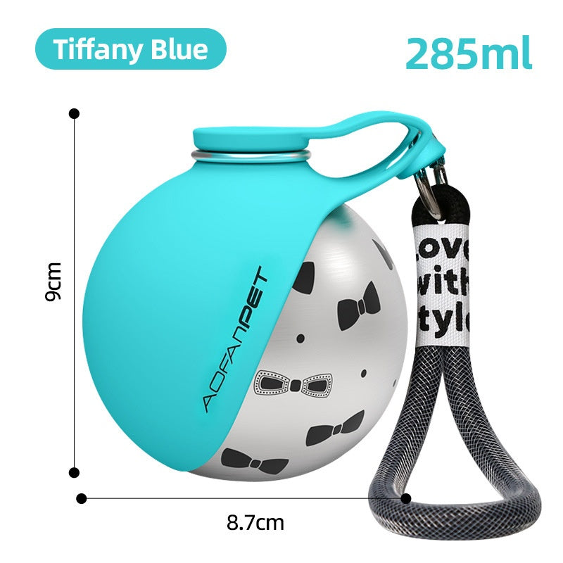 Portable Stainless Steel Water Bottle