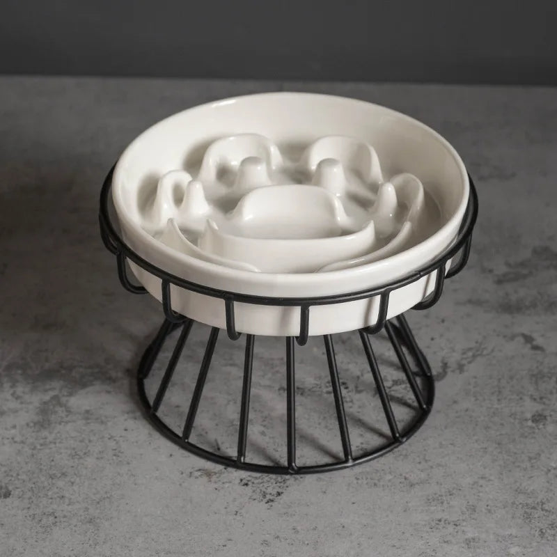Elevated Ceramic Slow Feeder Bowl