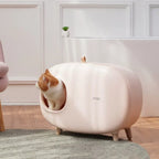 Contemporary Cat Litter Box