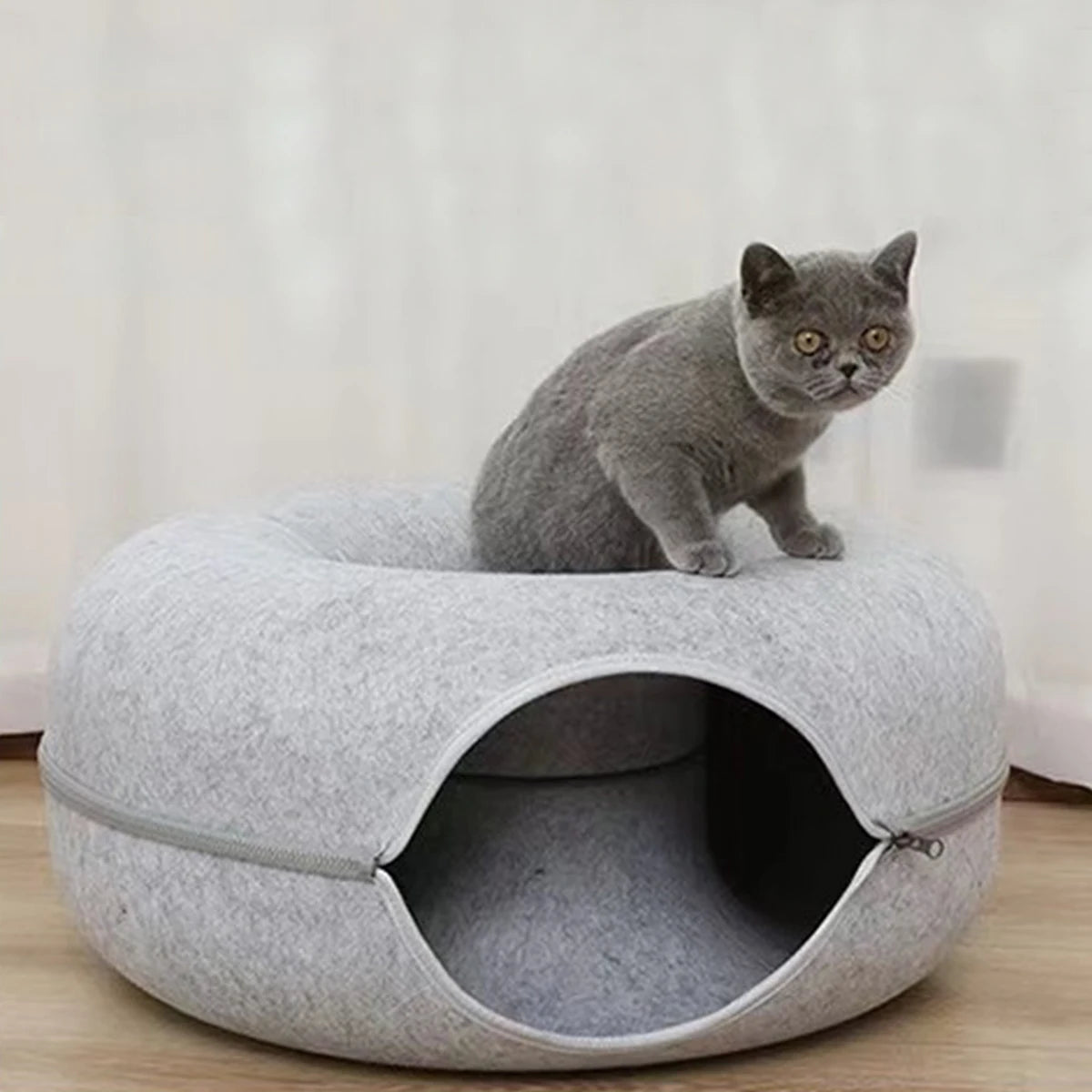 Donut Cat Bed & Tunnel