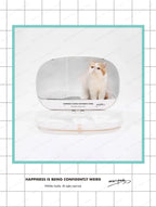 Contemporary Cat Litter Box