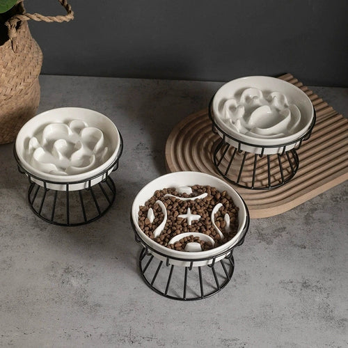 Elevated Ceramic Slow Feeder Bowl