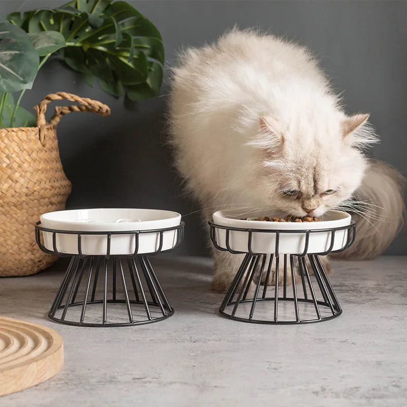 Elevated Ceramic Slow Feeder Bowl
