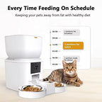 Smart Feeder with HD Camera