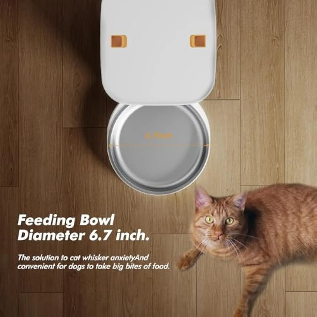 Smart Feeder with HD Camera