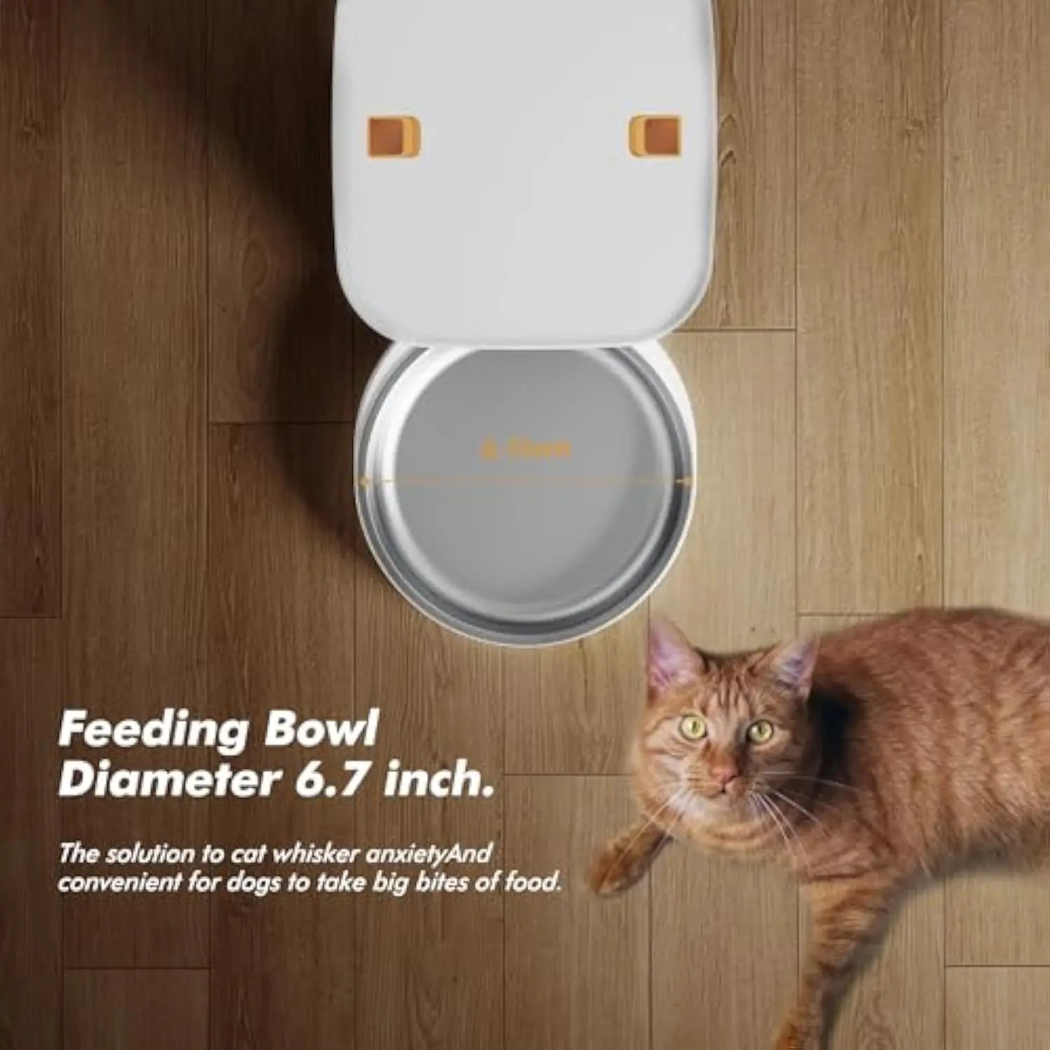 Smart Feeder with HD Camera